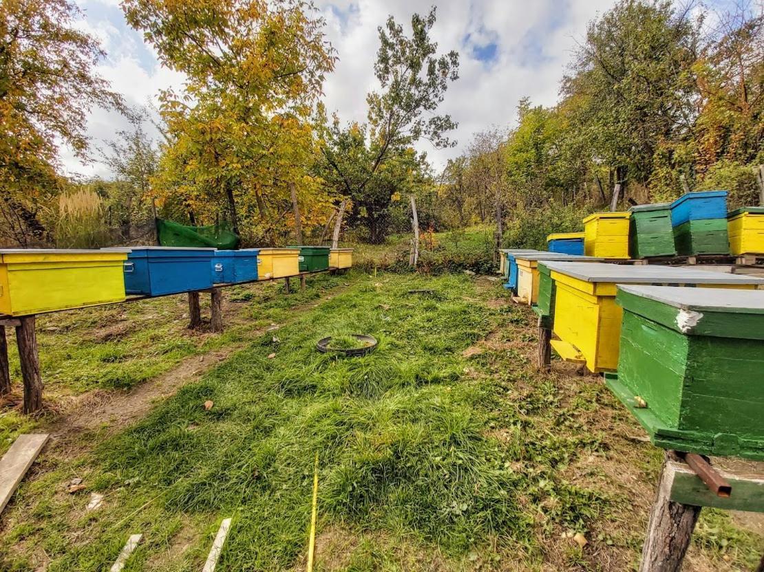 Pensiunea Agroturistica Piscul Soarelui Къмпулунг Екстериор снимка