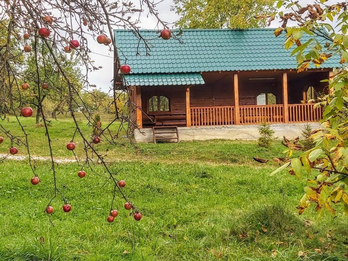 Pensiunea Agroturistica Piscul Soarelui Къмпулунг Екстериор снимка