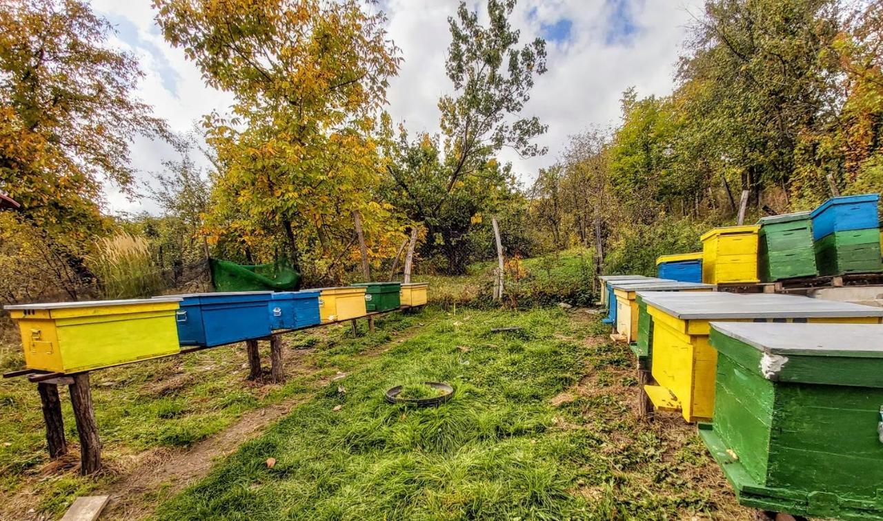 Pensiunea Agroturistica Piscul Soarelui Къмпулунг Екстериор снимка
