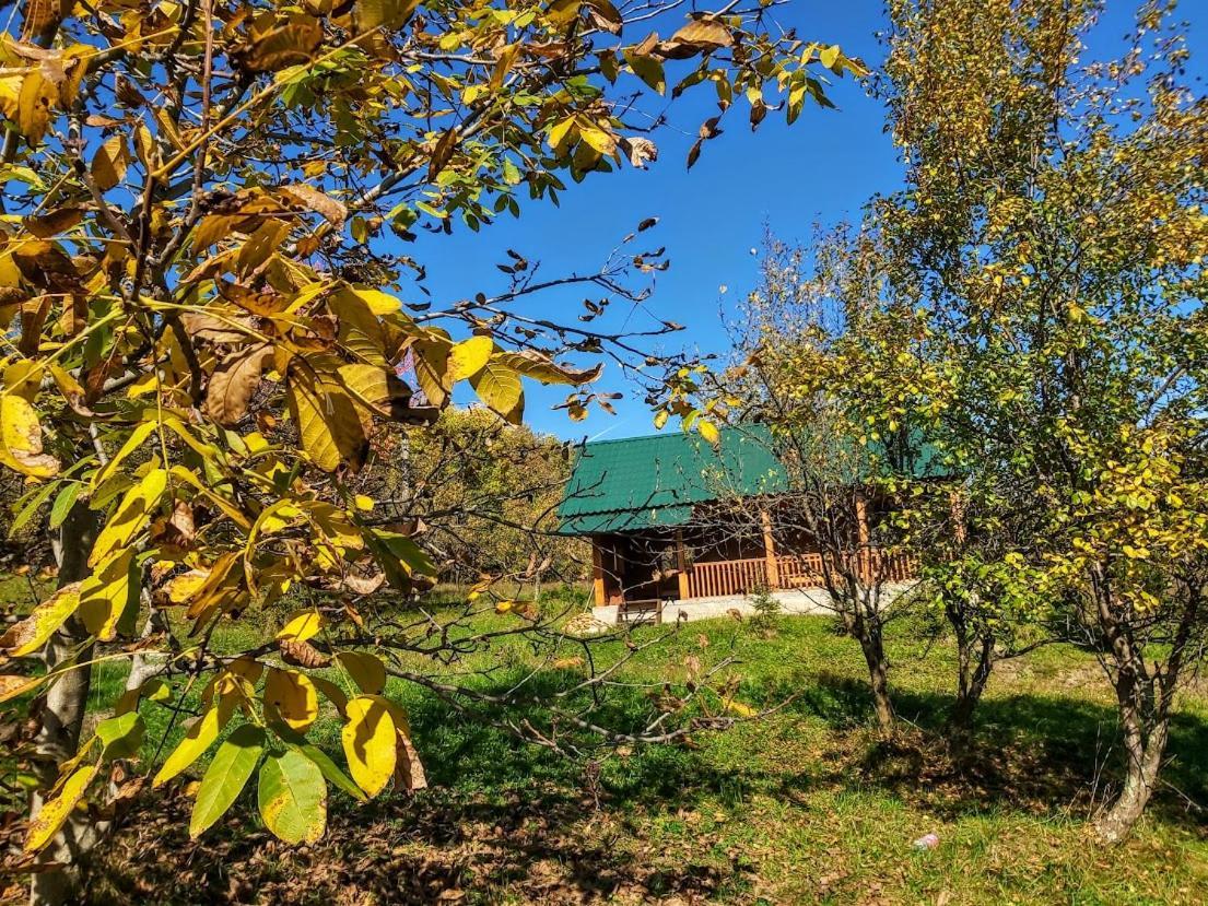Pensiunea Agroturistica Piscul Soarelui Къмпулунг Екстериор снимка