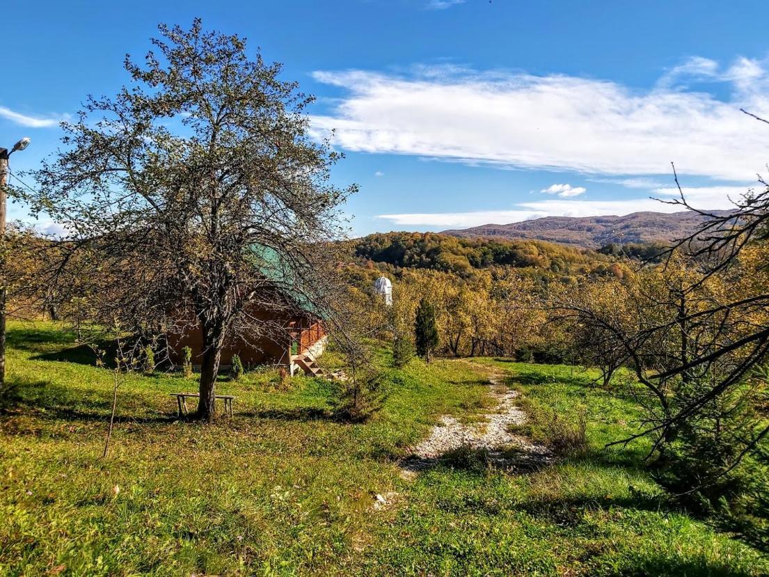 Pensiunea Agroturistica Piscul Soarelui Къмпулунг Екстериор снимка